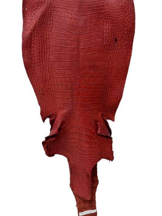 50 cm Grade 4/5 Marziale Matte Wild American Alligator Leather - Tag: LA23-0023041