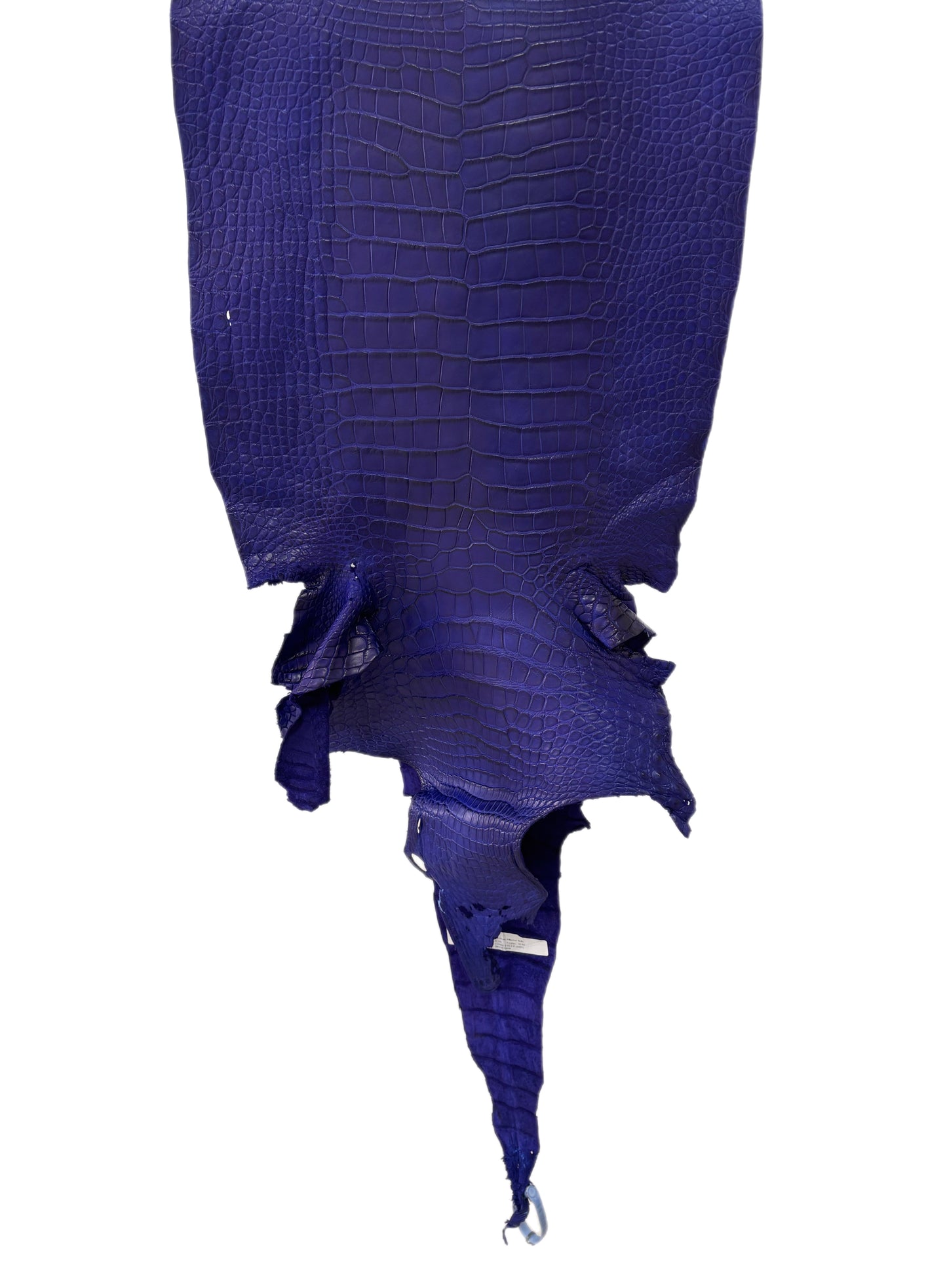 41 cm Grade 2/3 Cobalt Blue Matte Wild American Alligator Leather - Tag: LA23-0024217