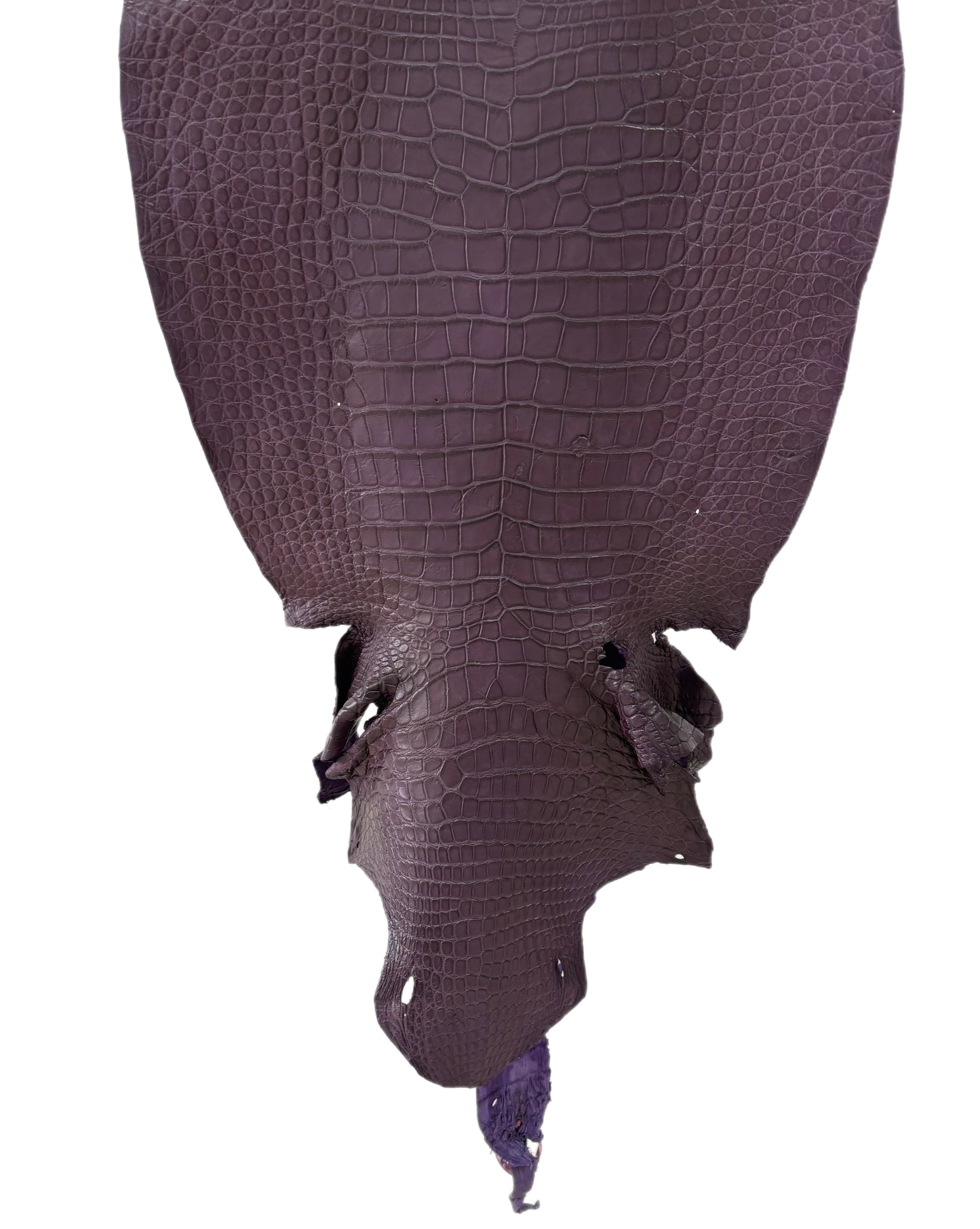 46 cm Grade 4/5 Aubergine Matte Wild American Alligator Leather - Tag: LA23-0023206