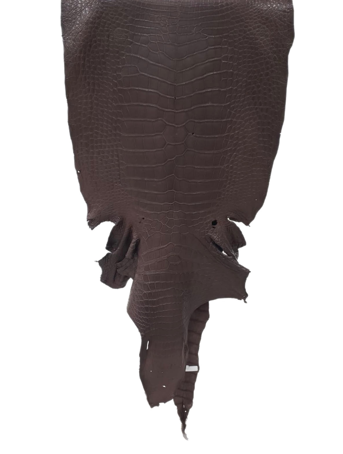 52 cm Grade 4/5 Chocolate Matte Wild American Alligator Leather - Tag: LA23-0027155
