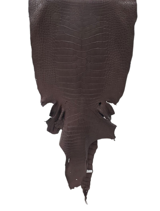 52 cm Grade 4/5 Chocolate Matte Wild American Alligator Leather - Tag: LA23-0027155