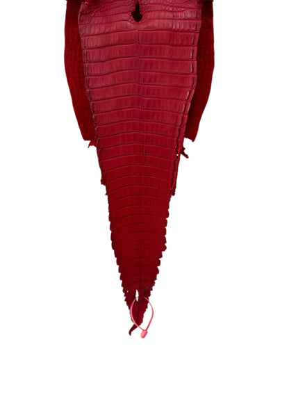 25 cm Grade 1/2 Candy Apple Red Matte Farm-Raised American Alligator Leather - Tag: FL21-0024701
