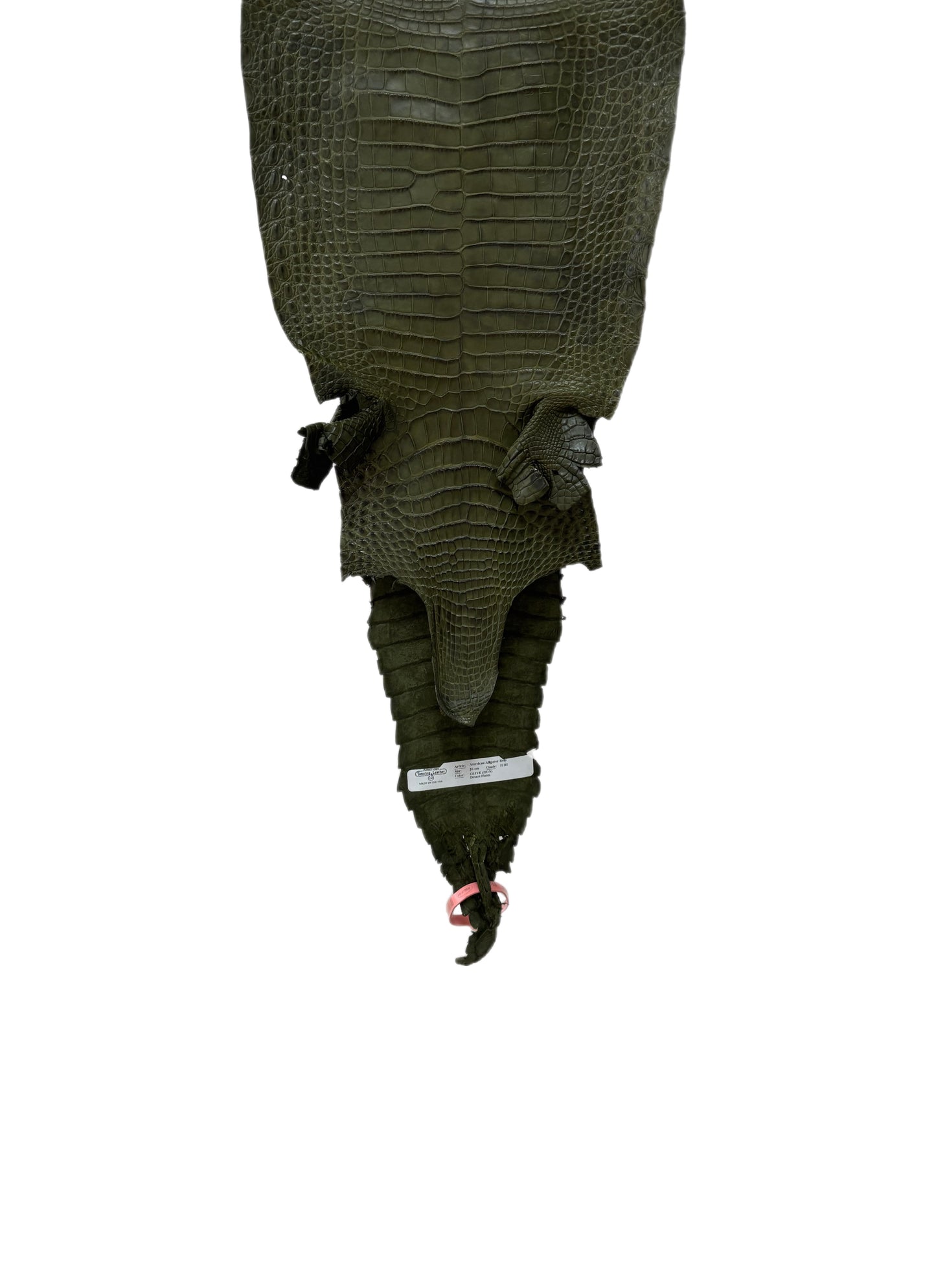 26 cm Grade 2/3 Olive Matte Farm-Raised American Alligator Leather - Tag: FL21-0024517