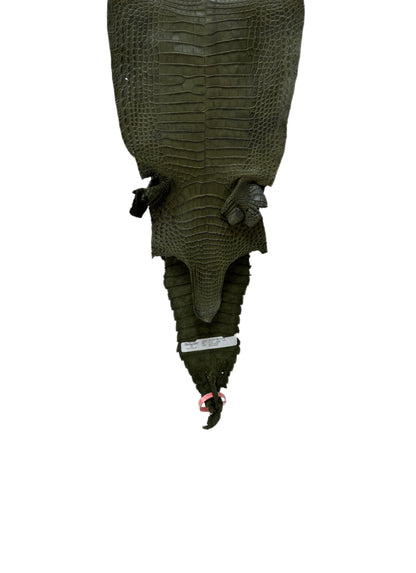 26 cm Grade 2/3 Olive Matte Farm-Raised American Alligator Leather - Tag: FL21-0024517