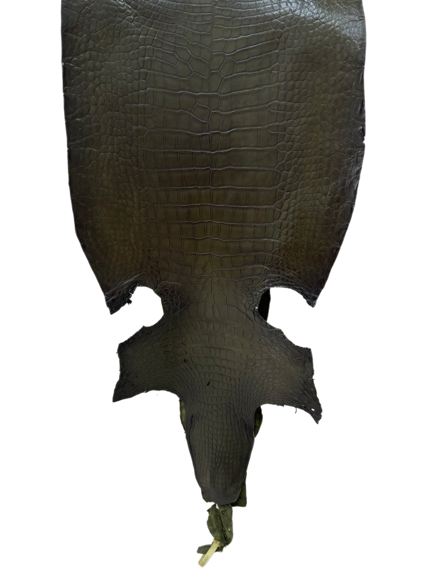 36 cm Grade 2/3 Olive Antique Wild American Alligator Leather - Tag: LA23-0022825