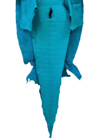 42 cm Grade 3/4 Turquoise Matte Wild American Alligator Leather - Tag: LA23-0024337