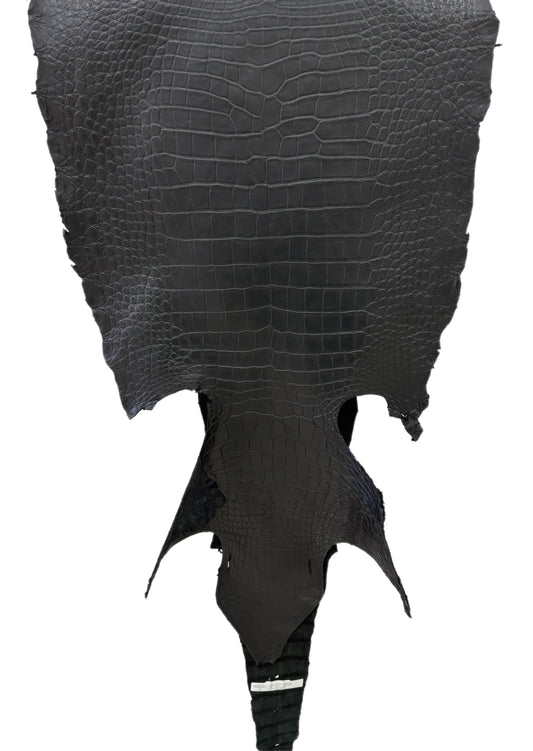 53 cm Grade 3/4 Black Matte Wild American Alligator Leather - Tag: LA23-0033309