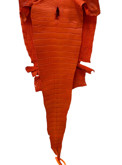 35 cm Grade 3/4 Orange Primavera Matte Farm-Raised American Alligator Leather - Tag: LA23-0531079