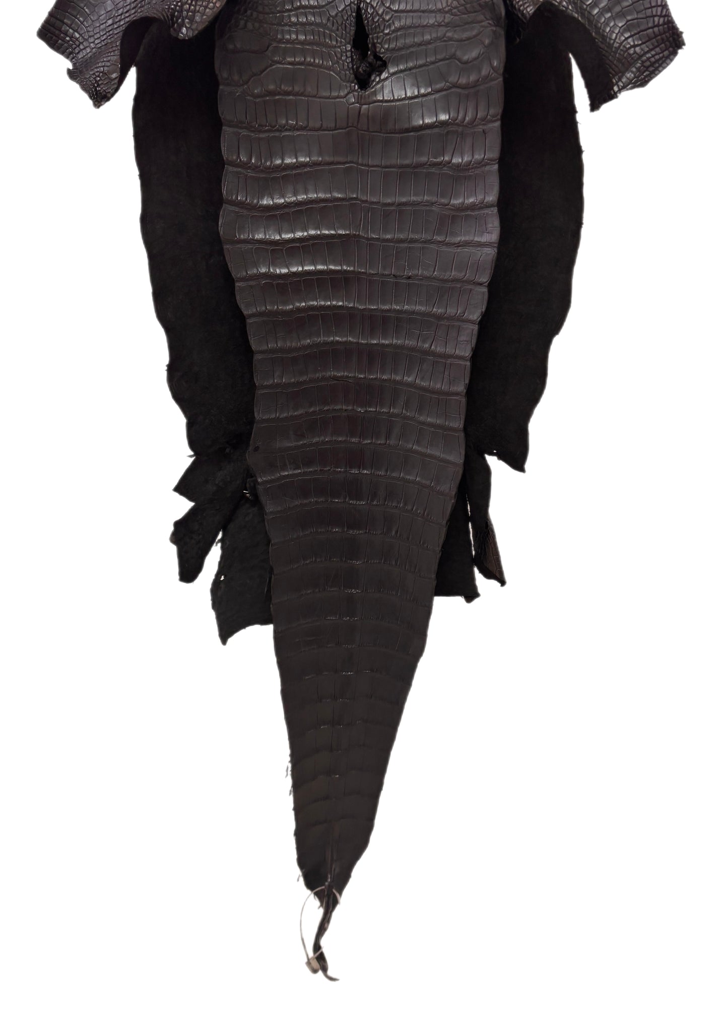 38 cm Grade 2/3 Black Matte Wild American Alligator Leather - Tag: LA17-0014532