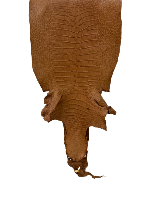 39 cm Grade 3/4 Almond Matte Wild American Alligator Leather - Tag: LA23-0006255