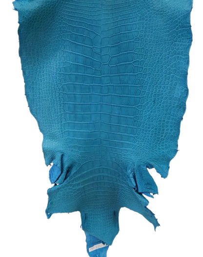 55 cm Grade 4/5 Ultramarine Matte Wild American Alligator Leather - Tag: LA23-0018241