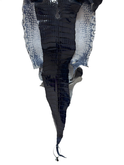 33 cm Grade 1/2 Navy Blue Glazed Wild American Alligator Leather - Tag: LA16-0010989