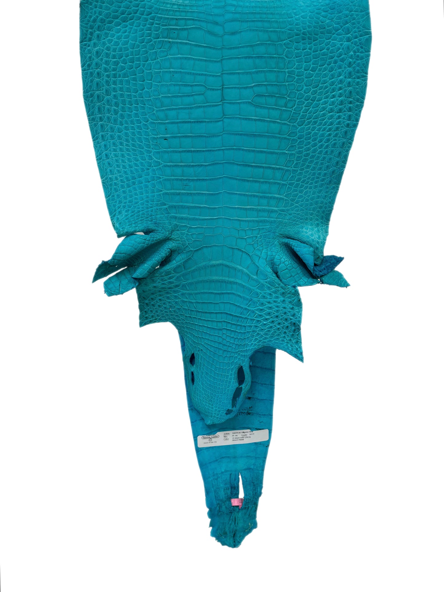 31 cm Grade 3/4 Turquoise Matte Farm-Raised American Alligator Leather - Tag: FL21-0024439