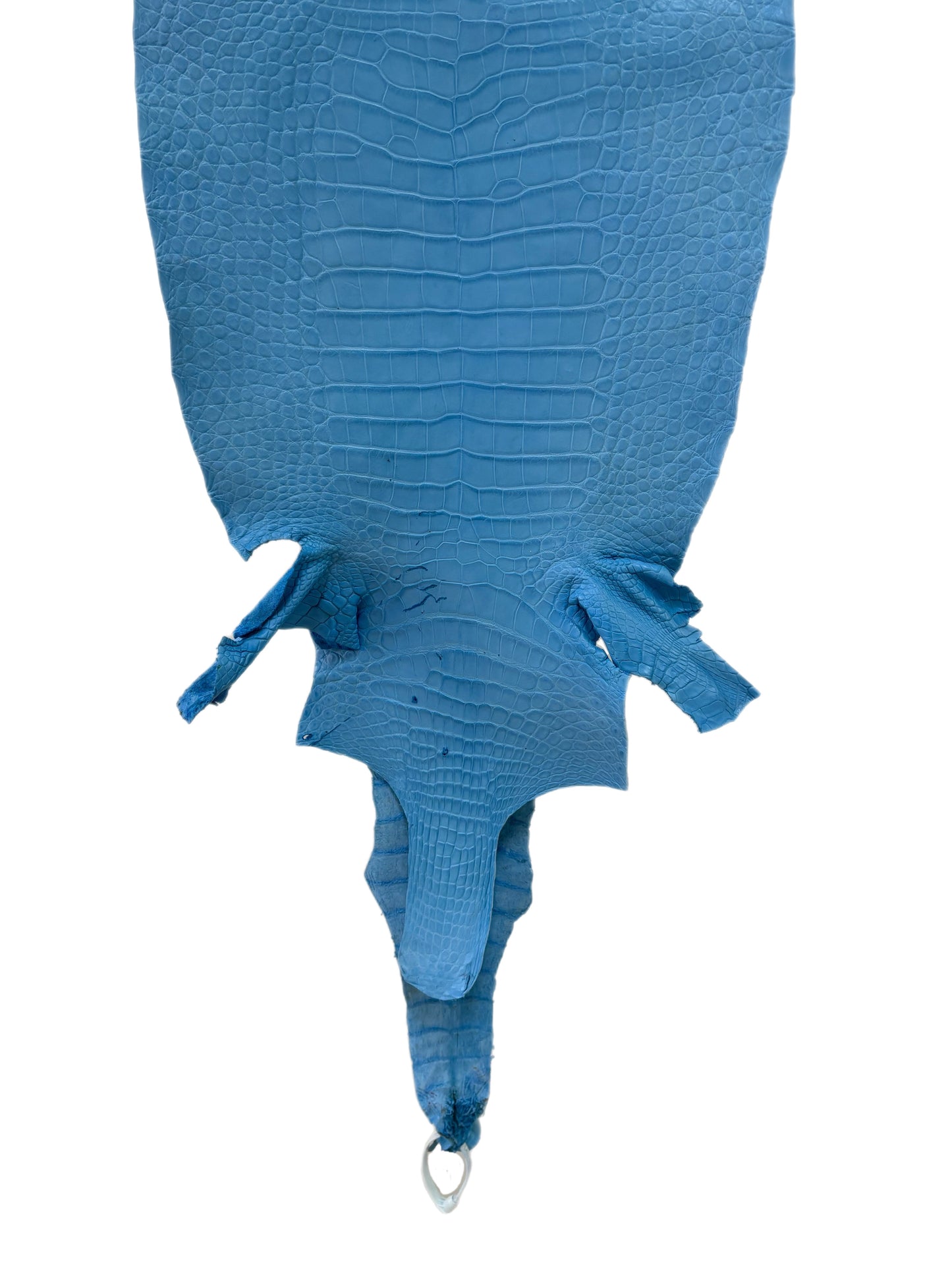 37 cm Grade 3/4 Sky Blue Matte Wild American Alligator Leather - Tag: LA23-0022820