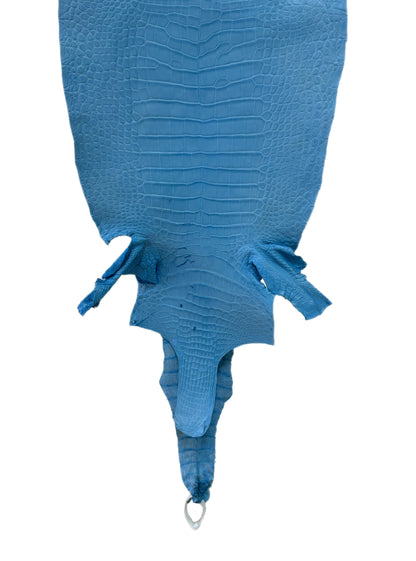 37 cm Grade 3/4 Sky Blue Matte Wild American Alligator Leather - Tag: LA23-0022820