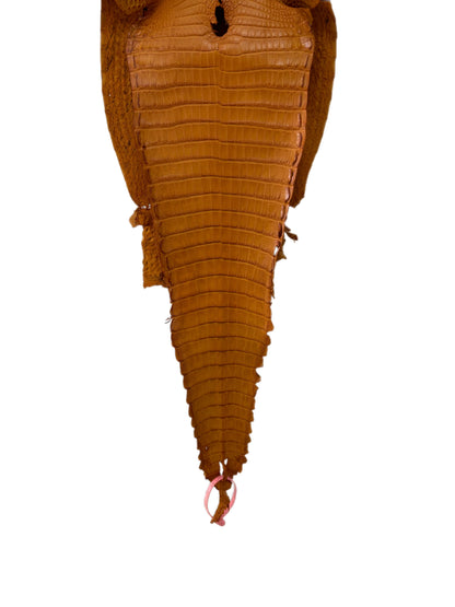 27 cm Grade 1/2 Buttercup Matte Farm-Raised American Alligator Leather - Tag: FL21-0024603