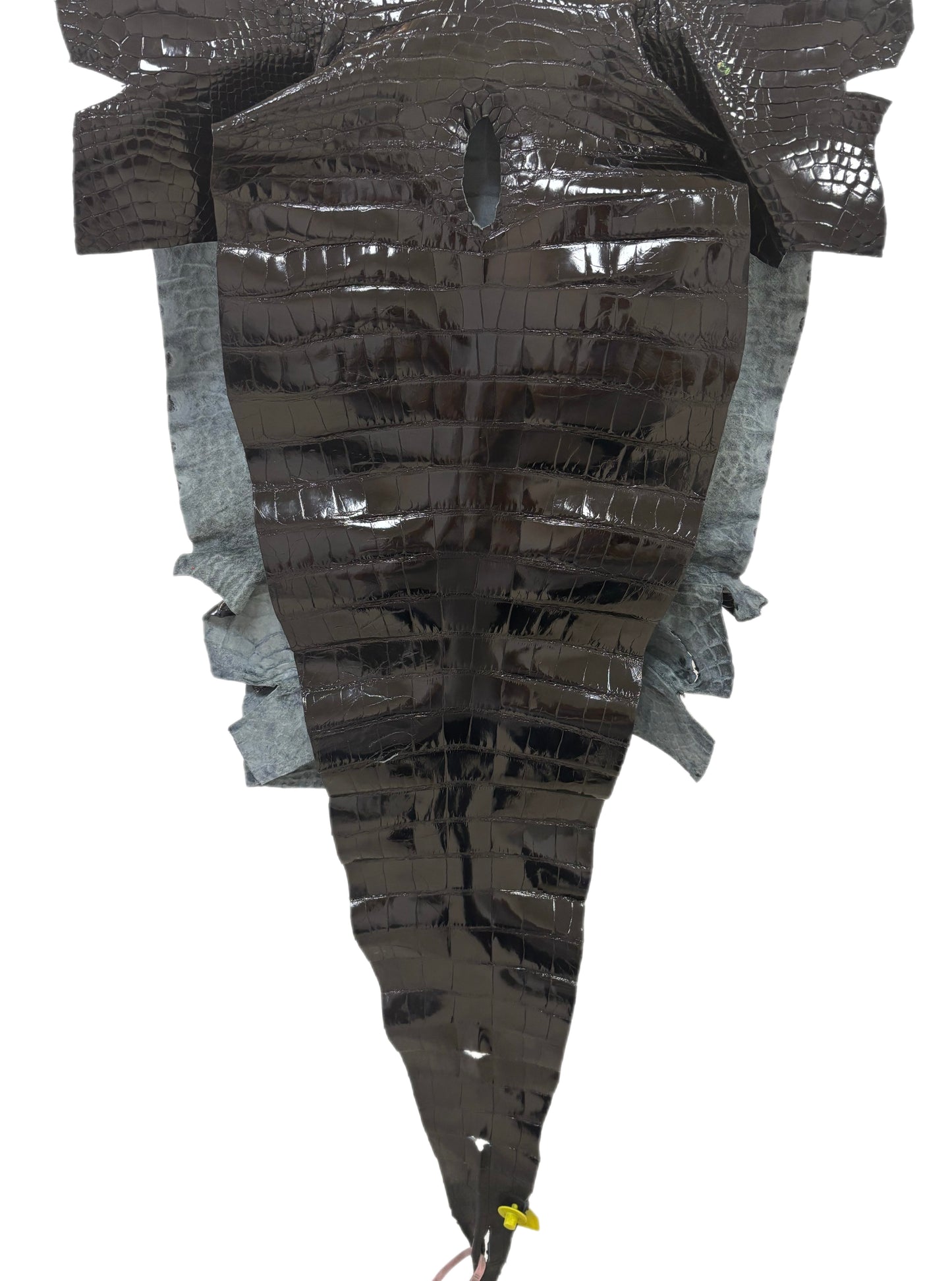 62 cm Grade 3/4 Black Glazed Farm-Raised American Alligator Leather - Tag: FL14-0003434