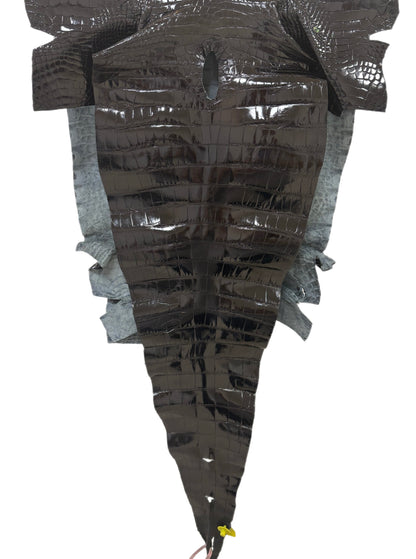62 cm Grade 3/4 Black Glazed Farm-Raised American Alligator Leather - Tag: FL14-0003434