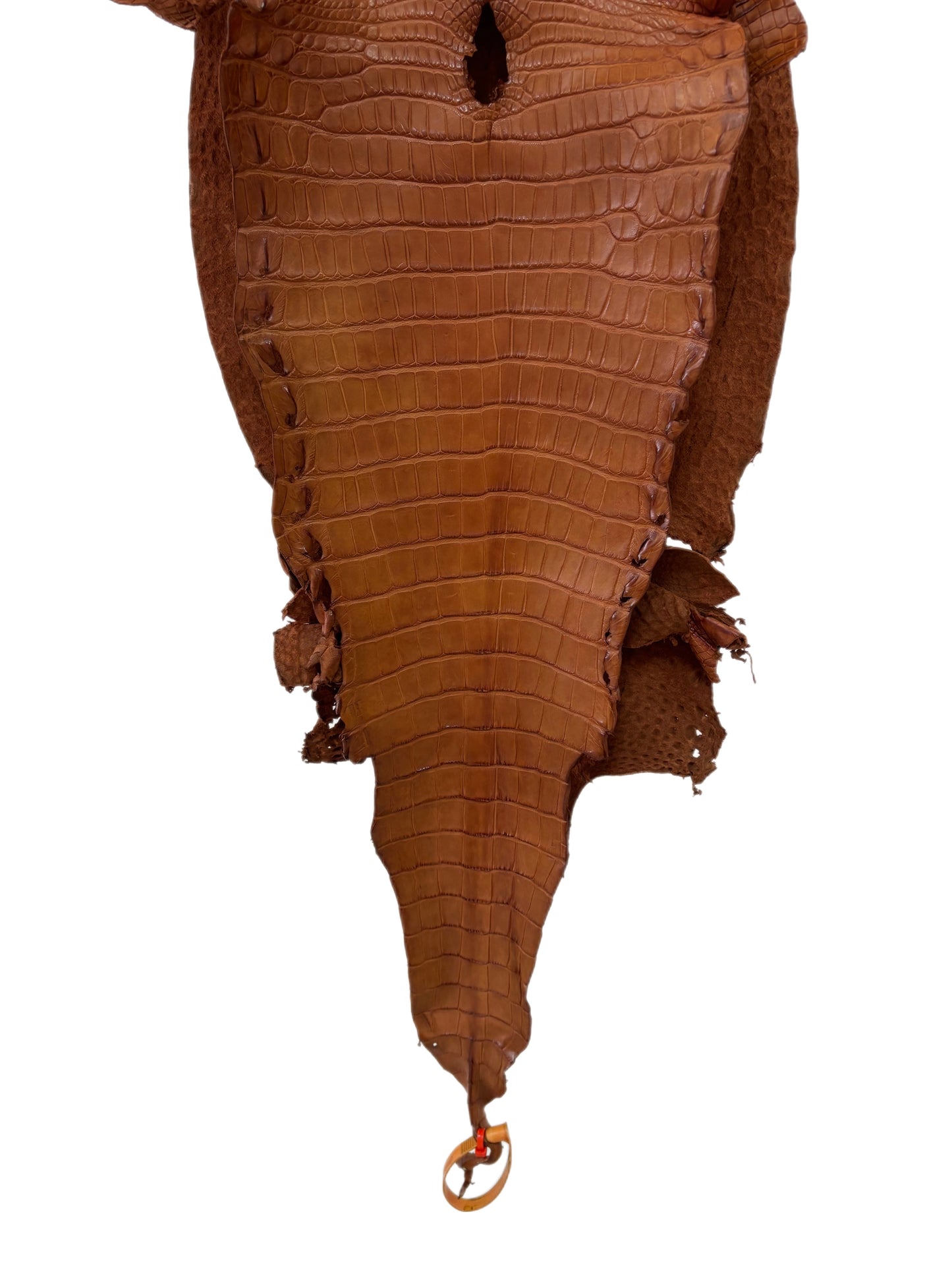 32 cm Grade 2/3 Cognac Matte Farm-Raised American Alligator Leather - Tag: LA23-0531067