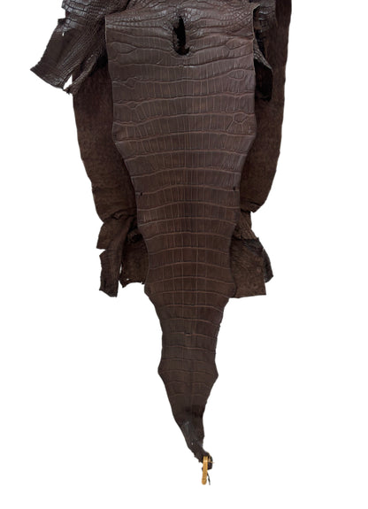 39 cm Grade 2/3 Chocolate Matte Wild American Alligator Leather - Tag: LA23-0028494