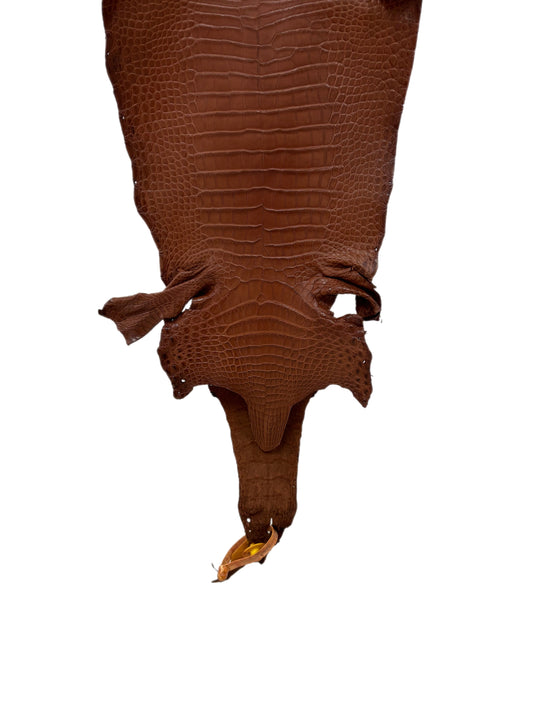 24 cm Grade 1/2 Rustic Cognac Matte Farm-Raised American Alligator Leather - Tag: LA08-0230204