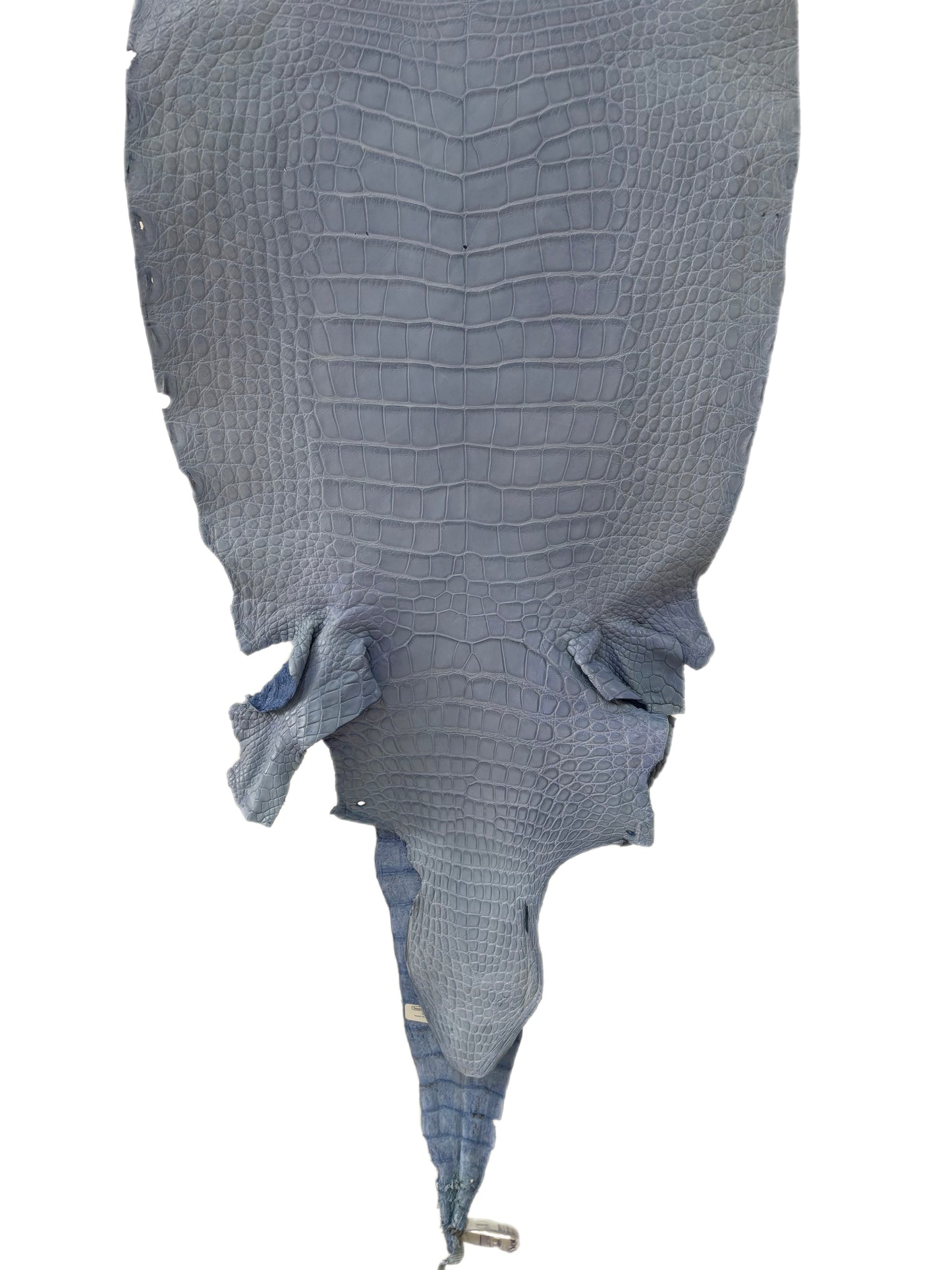 41 cm Grade 3/4 Carolina Blue Matte Wild American Alligator Leather - Tag: LA23-0017970