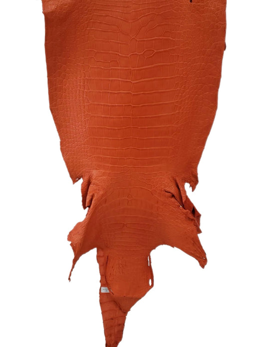 45 cm Grade 2/3 Orange Matte Wild American Alligator Leather - Tag: LA23-0026960