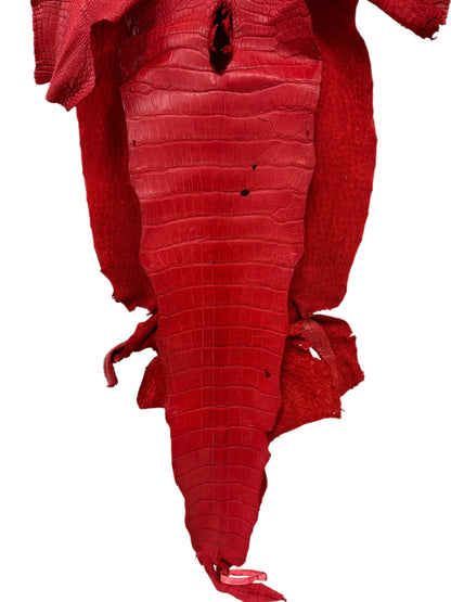 42 cm Grade 4/5 Candy Apple Red Matte Wild American Alligator Leather - Tag: LA24-0039977