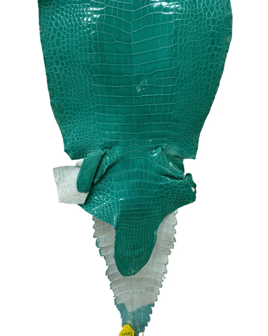 33 cm Grade 1/2 Tiffany Blue Classic Farm-Raised American Alligator Leather - Tag: GA13-0020688