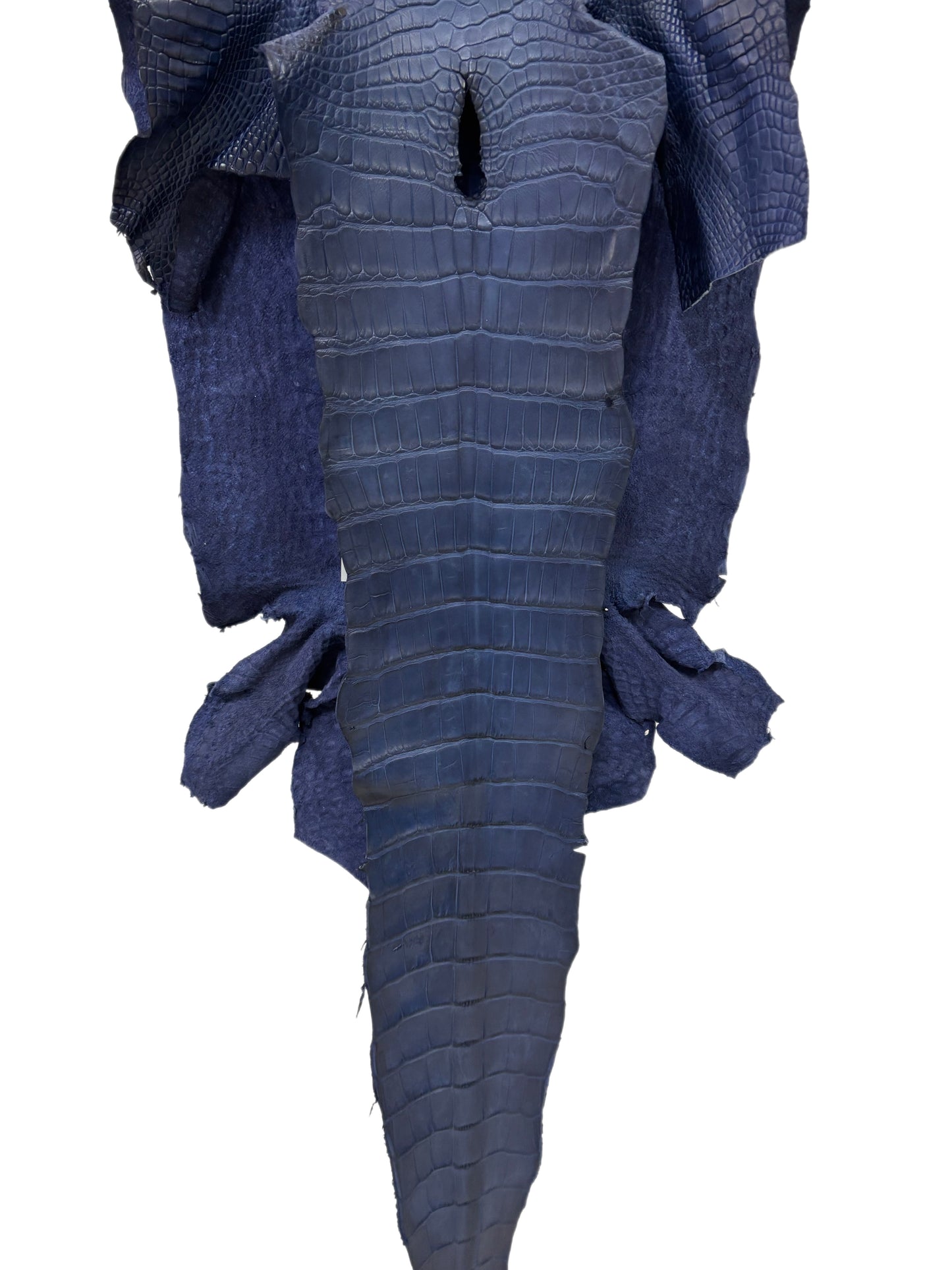 38 cm Grade 2/3 Navy Blue Desert Wild American Alligator Leather - Tag: LA16-0036674