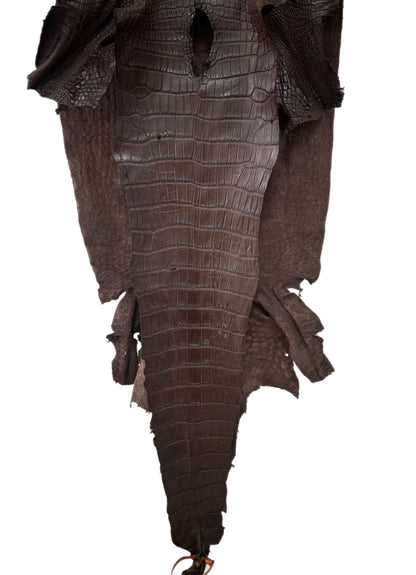 42 cm Grade 3/4 Chocolate Matte Wild American Alligator Leather - Tag: LA24-0039667