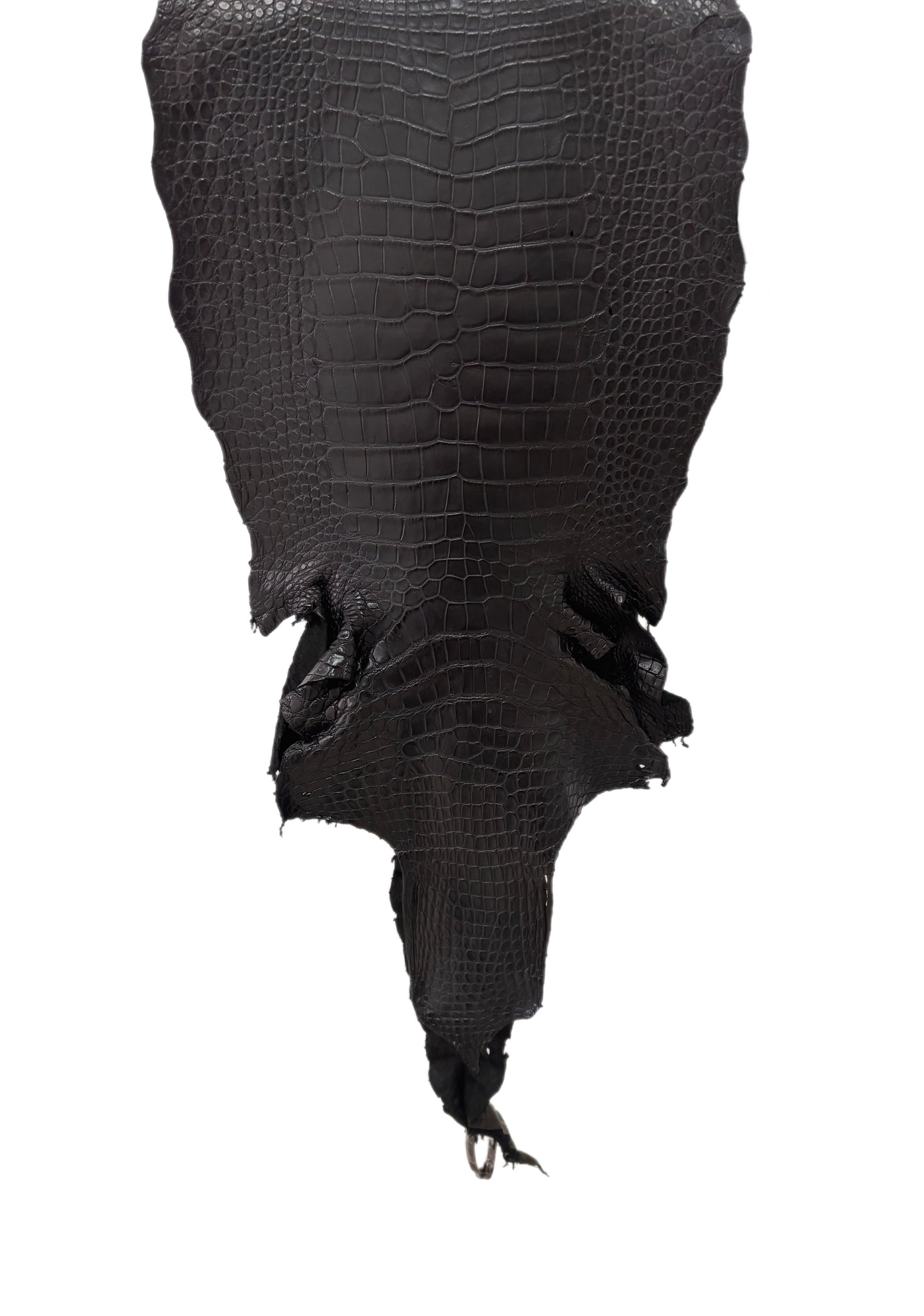 37 cm Grade 3/4 Black Matte Wild American Alligator Leather - Tag: LA23-0014524