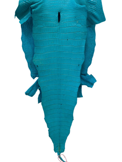 40 cm Grade 3/4 Turquoise Matte Wild American Alligator Leather - Tag: MS24-0000757