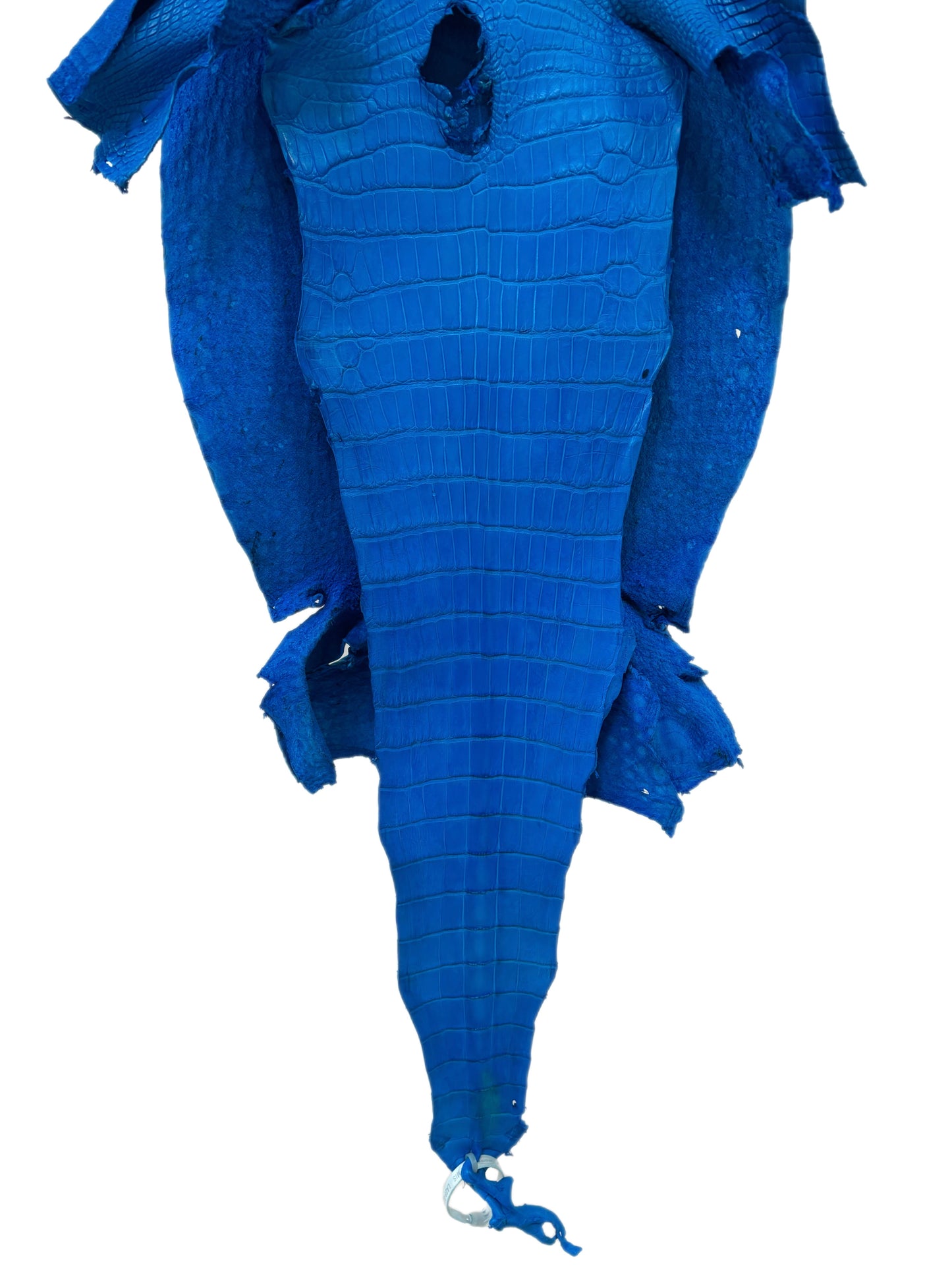 38 cm Grade 2/3 Ultramarine Matte Wild American Alligator Leather - Tag: LA23-0021020