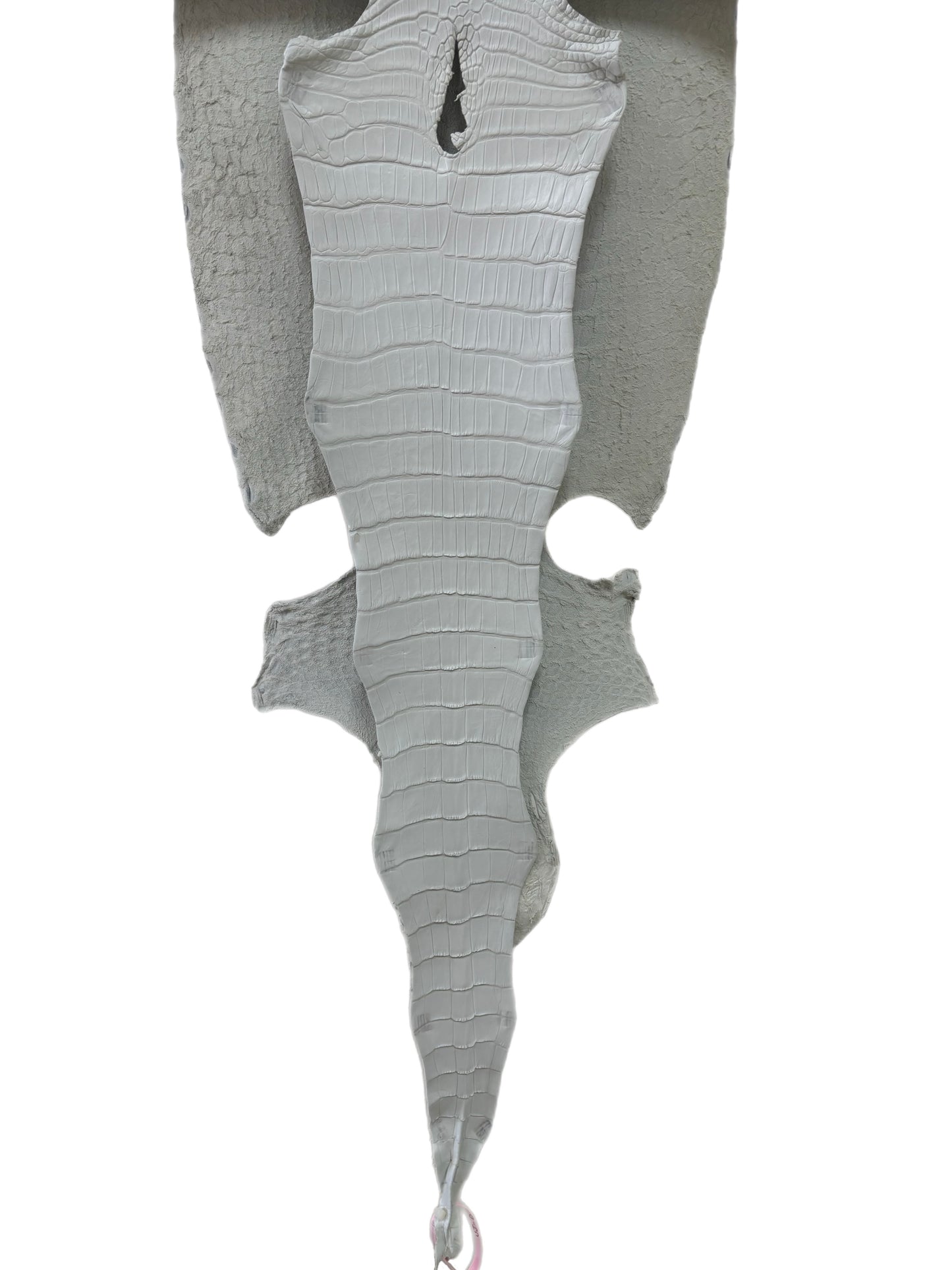 38 cm Grade 1/2 White Matte Wild American Alligator Leather - Tag: LA18-0013417