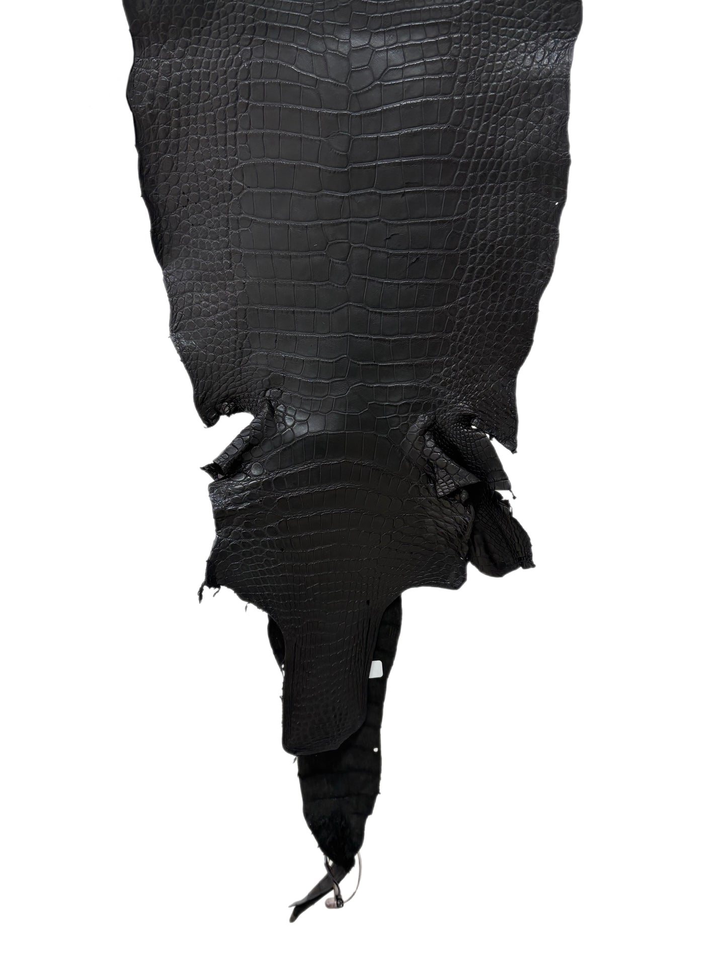 34 cm Grade 3/4 Black Matte Wild American Alligator Leather - Tag: LA18-0033278