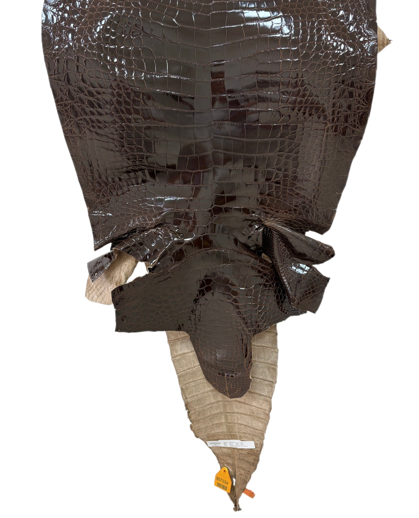 46 cm Grade 3/4 Sport Rust Brown Glazed Farm-Raised American Alligator Leather - Tag: FL14-0003571