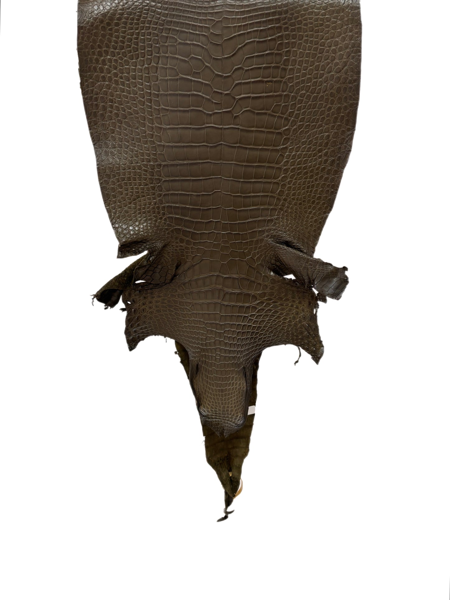 39 cm Grade 2/3 Olive Matte Wild American Alligator Leather - Tag: LA16-0052053