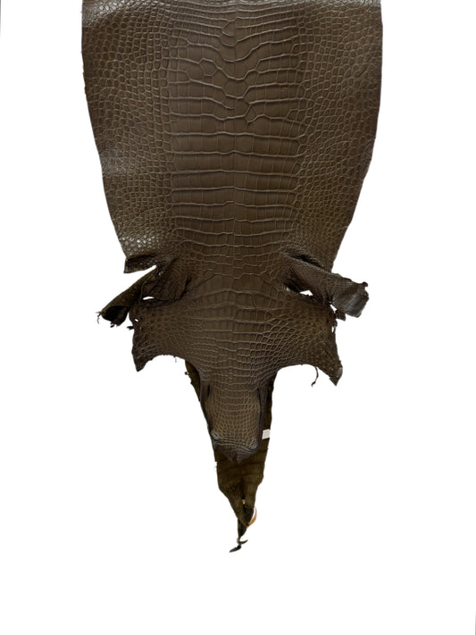 39 cm Grade 2/3 Olive Matte Wild American Alligator Leather - Tag: LA16-0052053