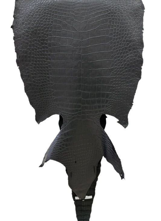 53 cm Grade 2/3 Black Matte Wild American Alligator Leather - Tag: LA22-0021534
