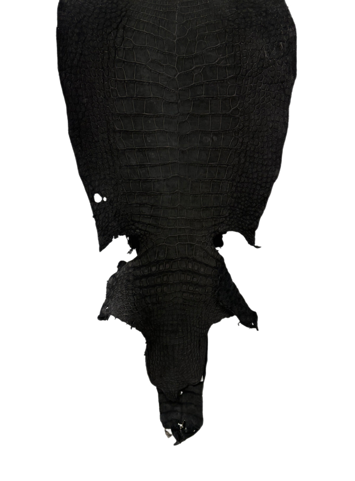 42 cm Grade 4/5 Black Nubuck Wild American Alligator Leather - Tag: LA23-0002074