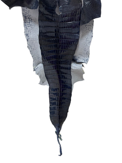 35 cm Grade 1/2 Navy Blue Glazed Wild American Alligator Leather - Tag: LA16-0016987