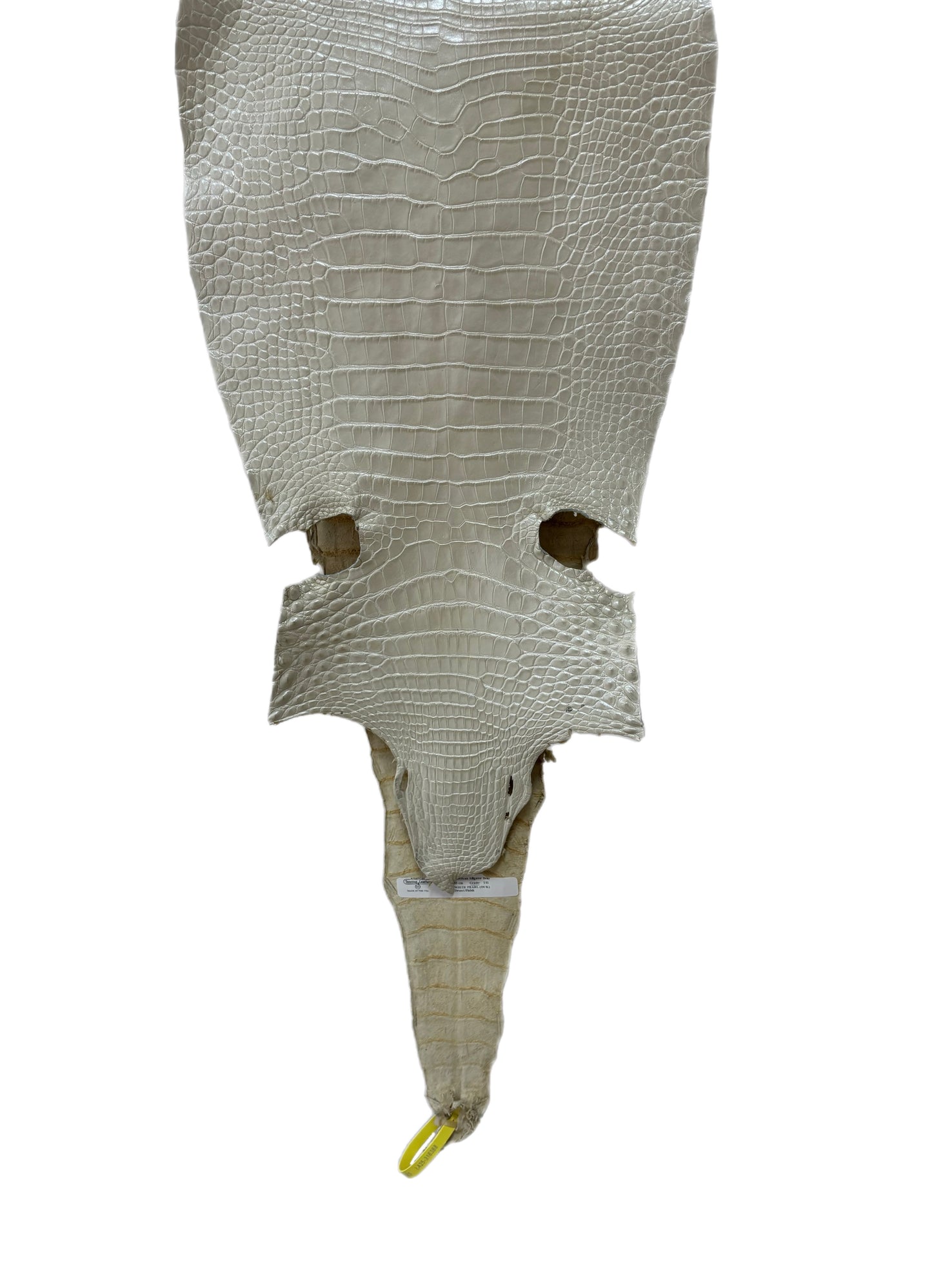 33 cm Grade 1/2 White Pearl Matte Farm-Raised American Alligator Leather - Tag: LA25-0316388