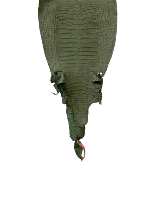 New Color! 24 cm Grade 1/2 Sage Green Matte Farm-Raised American Alligator Leather - Tag: LA24-0228909