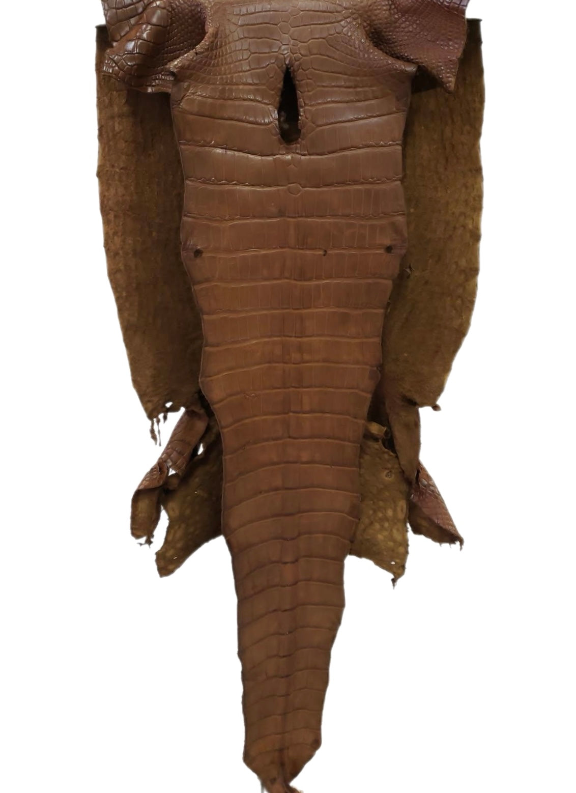 43 cm Grade 3/4 Kango Tabac Matte Wild American Alligator Leather - Tag: LA23-0013903