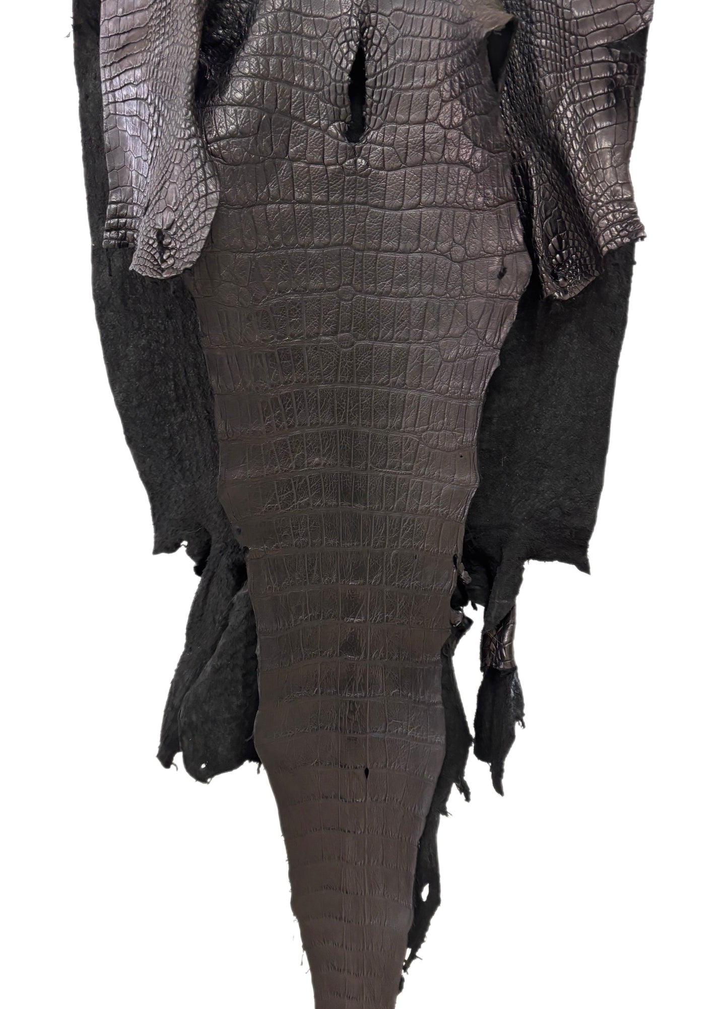 47 cm Grade 3/4 Black Matte Wild American Alligator Leather - Tag: LA23-0016641