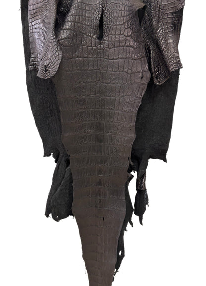 47 cm Grade 3/4 Black Matte Wild American Alligator Leather - Tag: LA23-0016641