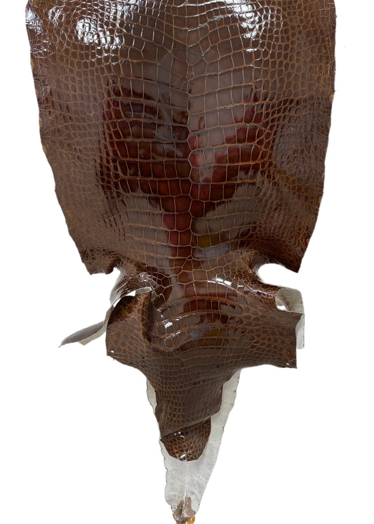 45 cm Grade 4/5 Brown Glazed Wild American Alligator Leather - Tag: LA23-0017567