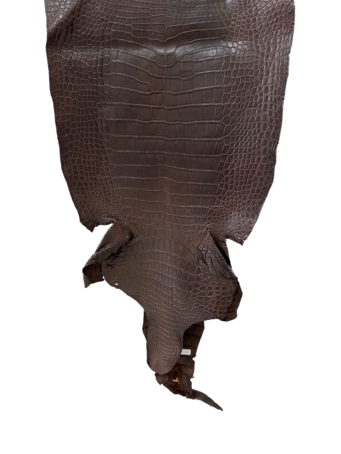 45 cm Grade 3/4 Chocolate Matte Wild American Alligator Leather - Tag: LA23-0035640