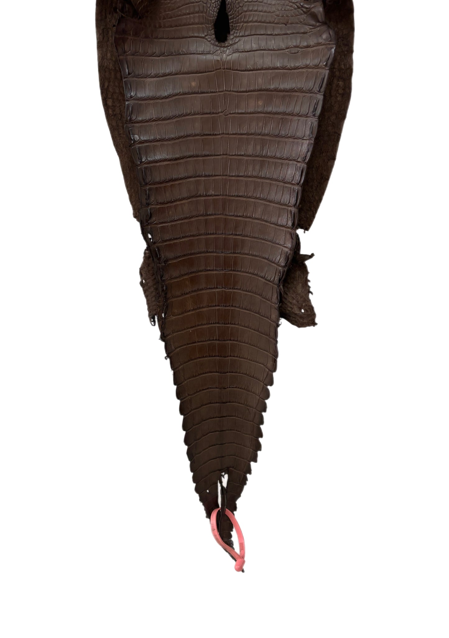 27 cm Grade 2/3 Nicotine Matte Farm-Raised American Alligator Leather - Tag: FL21-0023982